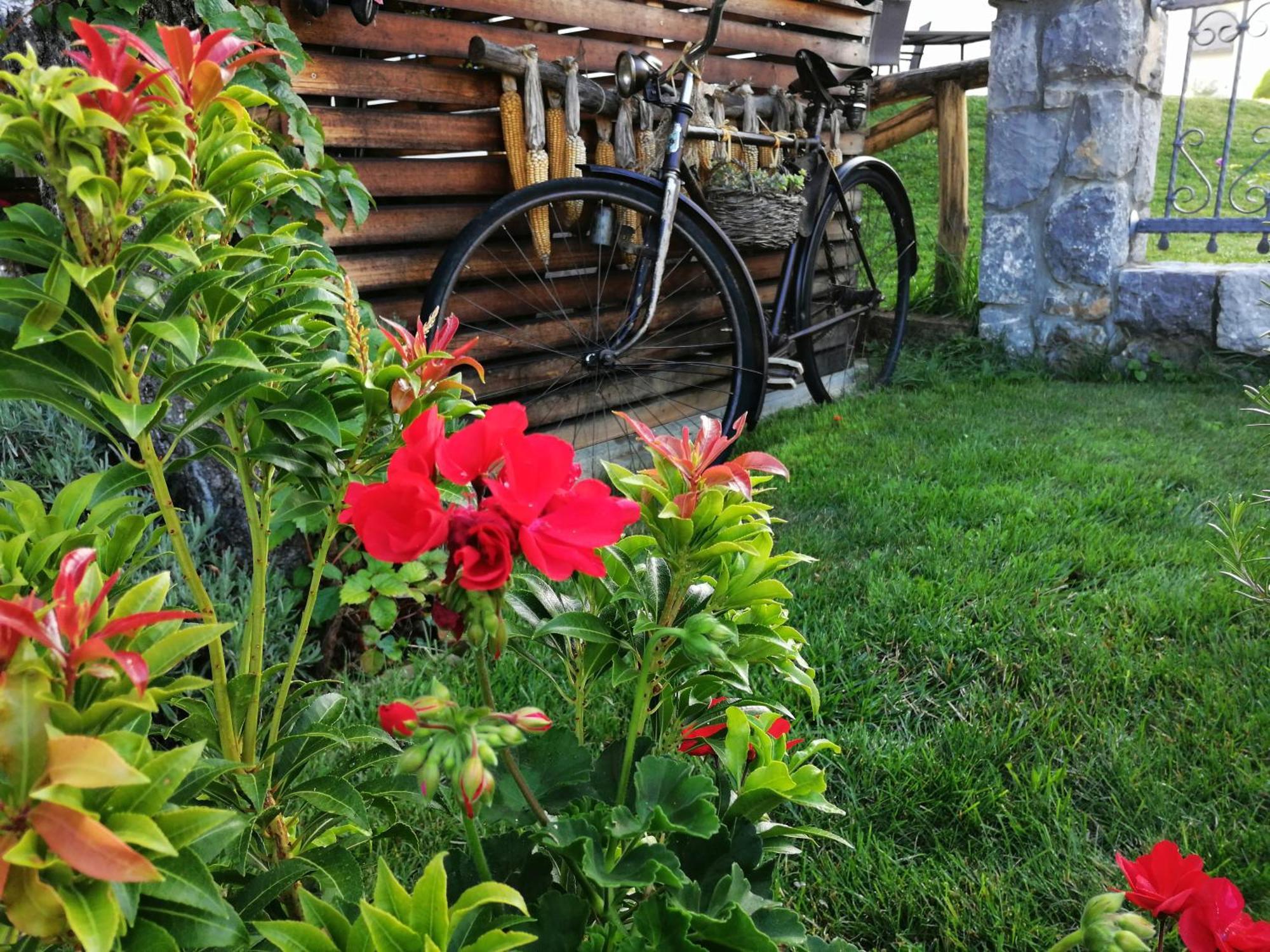 Barn House Mm Apartment Bled Bagian luar foto