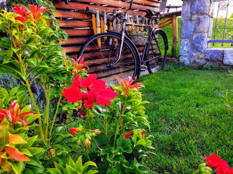Barn House Mm Apartment Bled Bagian luar foto